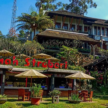 Rumah Stroberi Organic Farm & Family Lodge 렘뱅 외부 사진