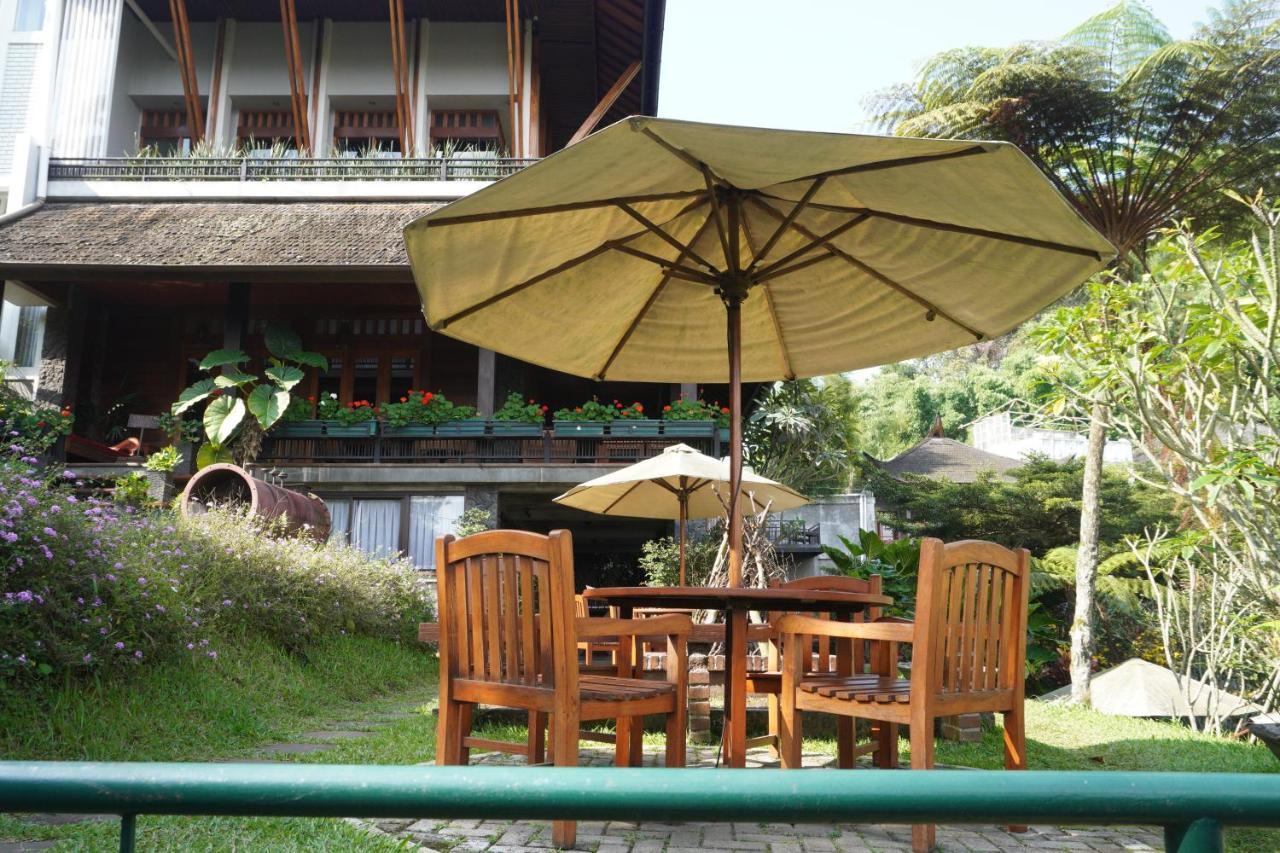Rumah Stroberi Organic Farm & Family Lodge 렘뱅 외부 사진