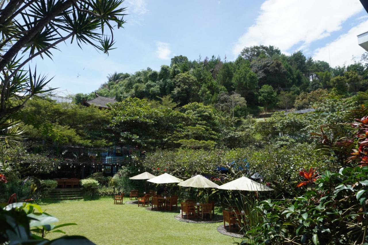Rumah Stroberi Organic Farm & Family Lodge 렘뱅 외부 사진