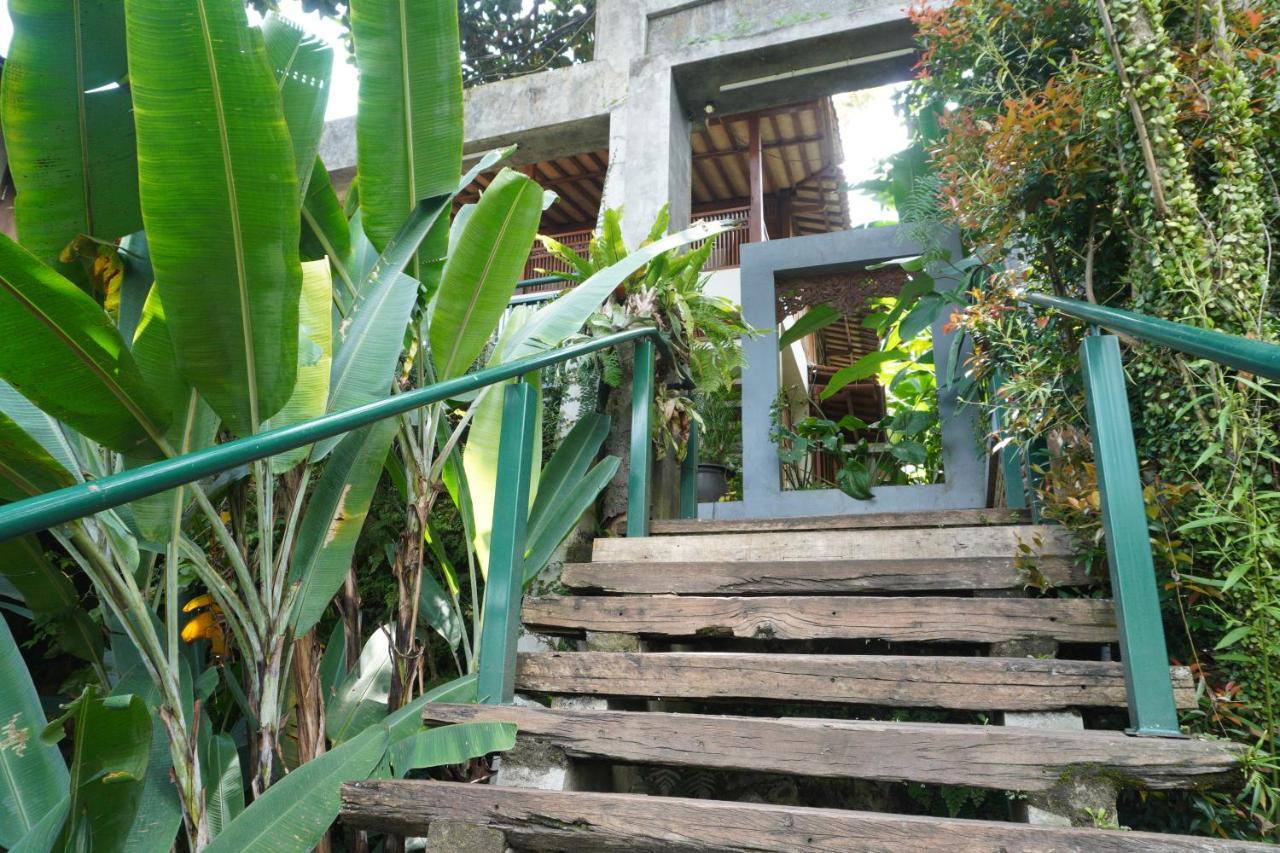 Rumah Stroberi Organic Farm & Family Lodge 렘뱅 외부 사진