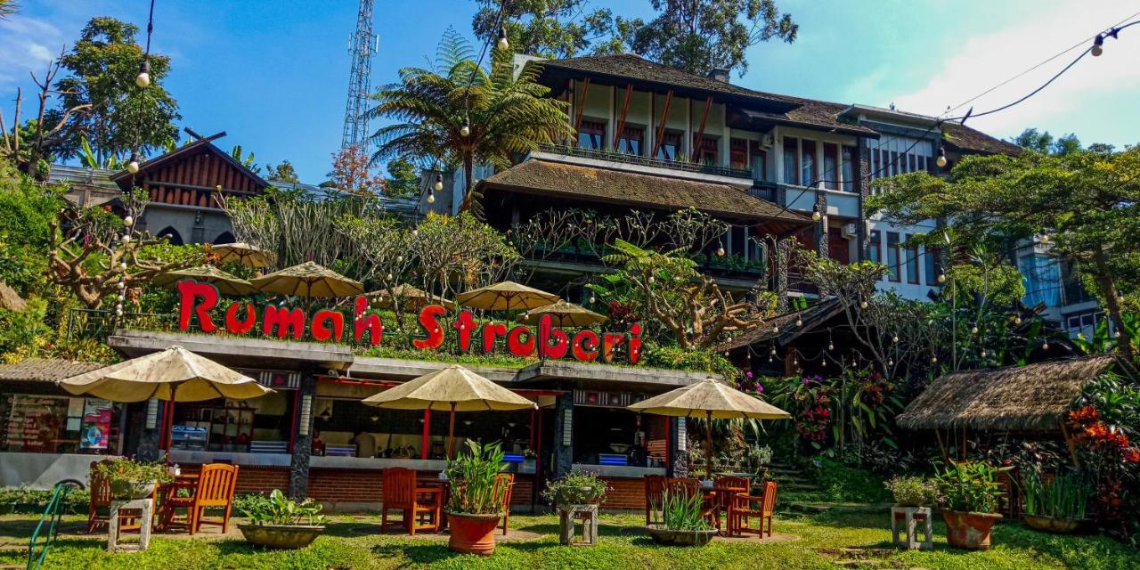 Rumah Stroberi Organic Farm & Family Lodge 렘뱅 외부 사진