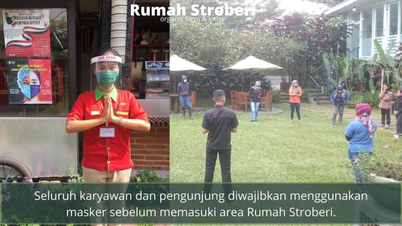 Rumah Stroberi Organic Farm & Family Lodge 렘뱅 외부 사진