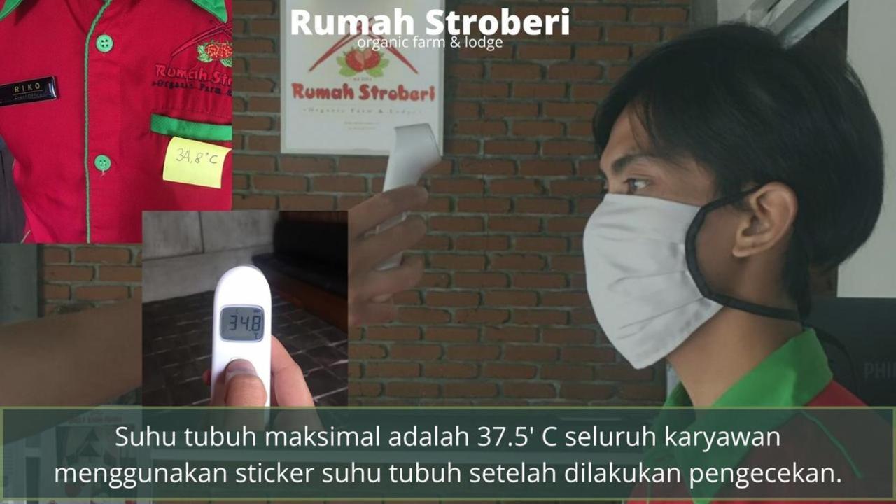 Rumah Stroberi Organic Farm & Family Lodge 렘뱅 외부 사진