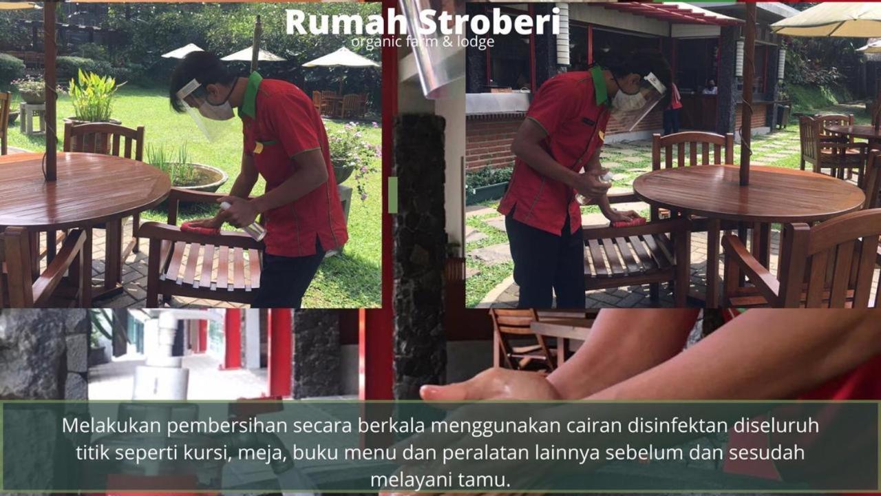 Rumah Stroberi Organic Farm & Family Lodge 렘뱅 외부 사진